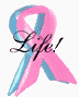 Support the Unborn